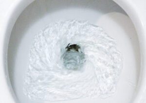 Ghost Flushing: Why Does My Toilet Flush by Itself?